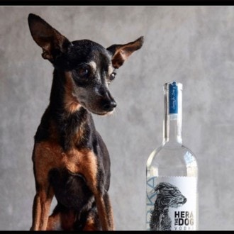 Si vous buvez cette vodka, vous aiderez les animaux en détresse
