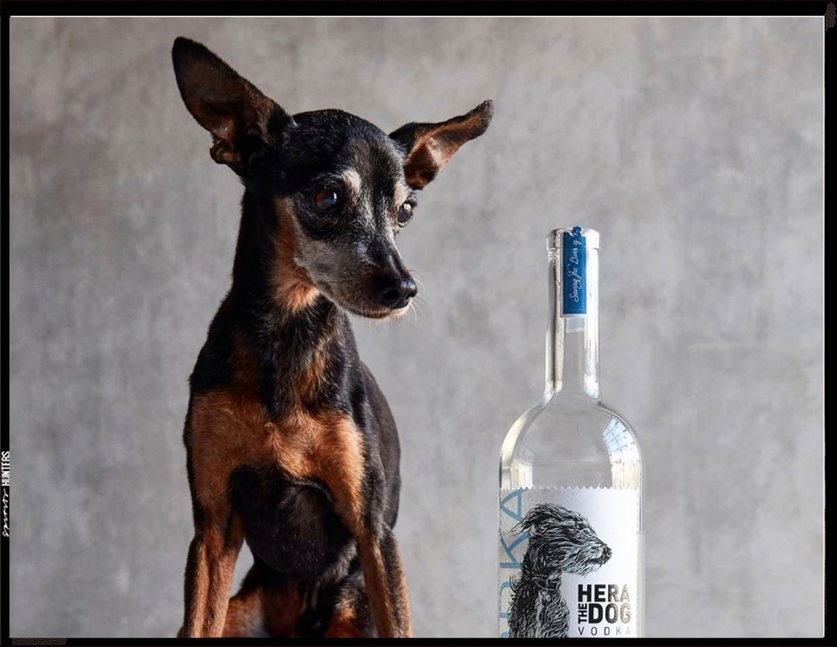 If you drink this vodka, you can help and protect animals in need