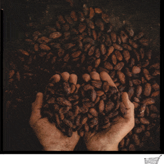 A Canadian rum for chocolate lovers