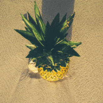 La historia y receta del cóctel tiki Jungle Bird