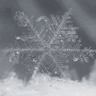 No bebas y conduzcas, ¡sólo ten una Feliz Navidad!