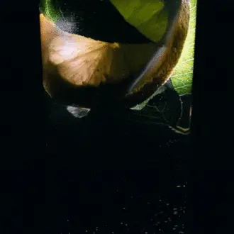 3 bars in Edinburgh where you can taste gin