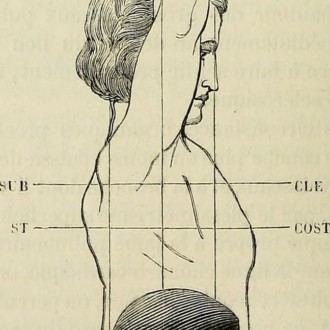 Consejos después de las fiestas para sanar el hígado