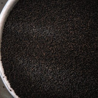 Cocktail recipe with Paragon Cordial: Monin x Alex Kratena