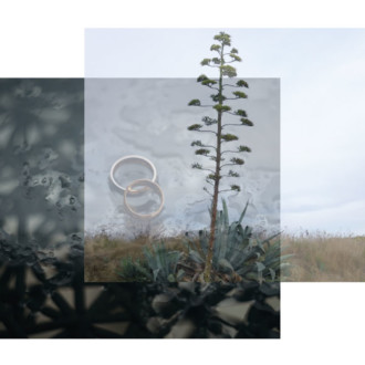 ¿Qué es el síndrome del agave?