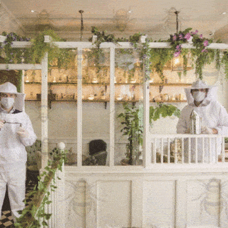 En este bar de Londres los apicultores son los nuevos bartenders ante el covid-19