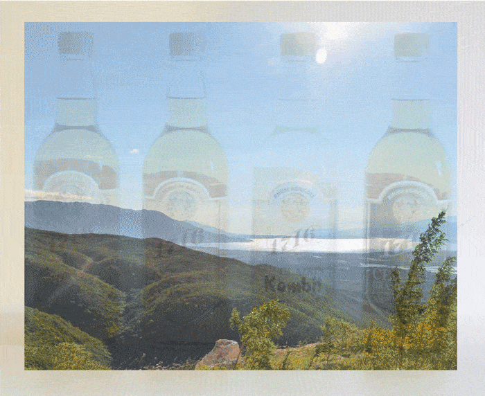 distillerie 1716 bitters and rhums