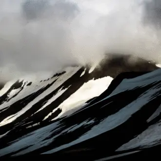 Five craft American gins to enjoy right now