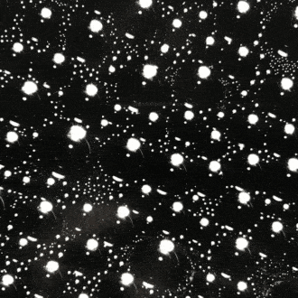 We recommend 10 excellent champagnes for less than 100 euros