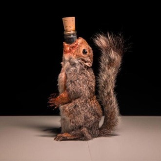 Descubre el museo del alcohol en Suecia que expone botellas jamás vistas