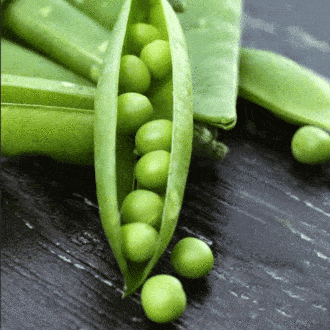 La destilería Arbikie lanza un segundo alcohol a base de guisantes: Nàdar Vodka