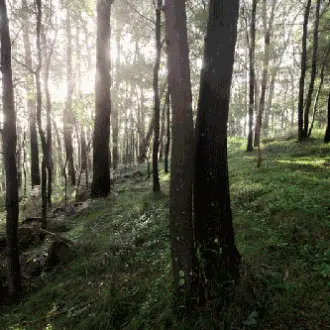 Le vieillissement accéléré, une technique développée par Bespoken Spirits