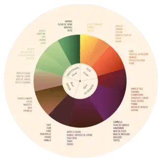 Discover cognac and the spicy aromas of autumn