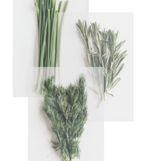 Herbs and cocktails: which ones should I use and how to use them