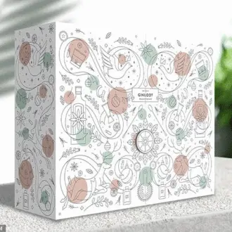 The advent calendar that every gin enthusiast should have