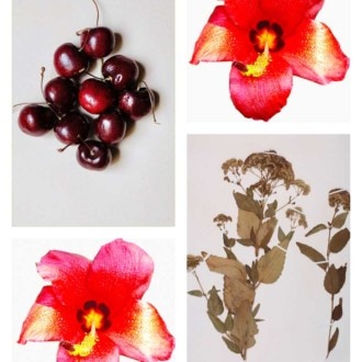 La creación de cócteles innovadores en Cuba por jóvenes bartenders