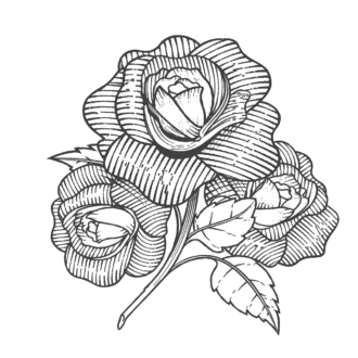 Vous cherchez une bouteille rare de Rosebank d’une valeur de 1600 £ ? Nous vous dirons où