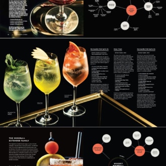 A book to understand the basis of mixology and the origin of cocktails
