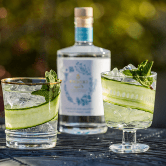 Begin Dry January with an alcohol free gin