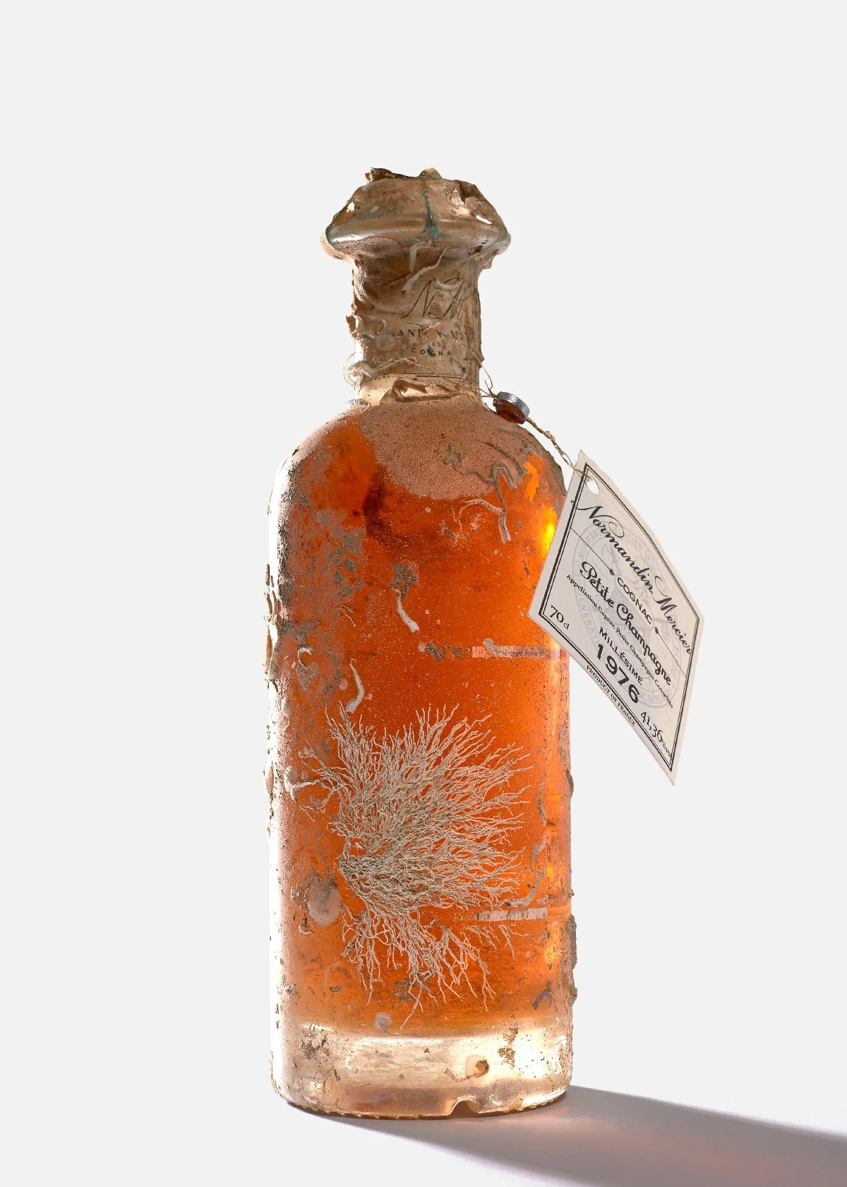 cognac normandin mercier