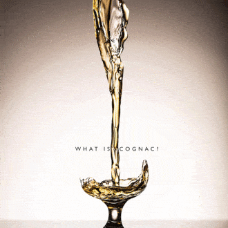 ¿Cómo degustar cognac VS, cognac VSOP y cognac XO? Consejos de experto
