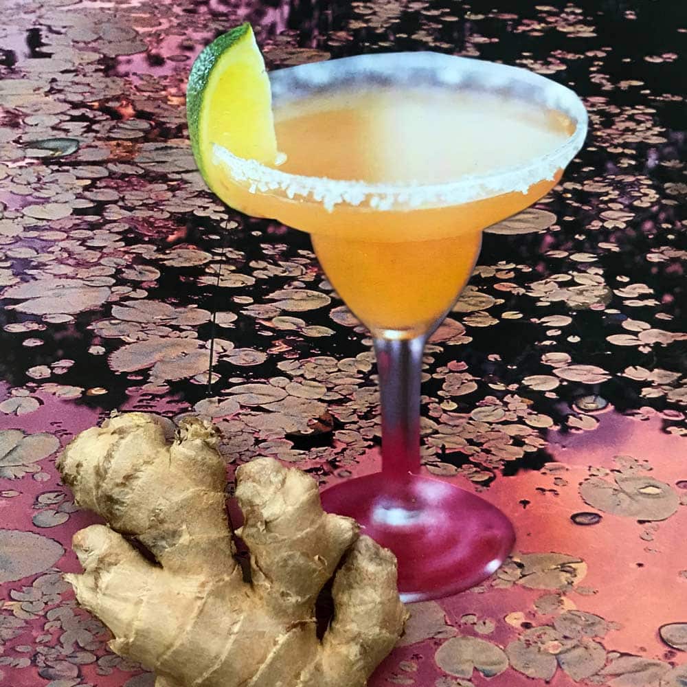 cocktail ginger margarita