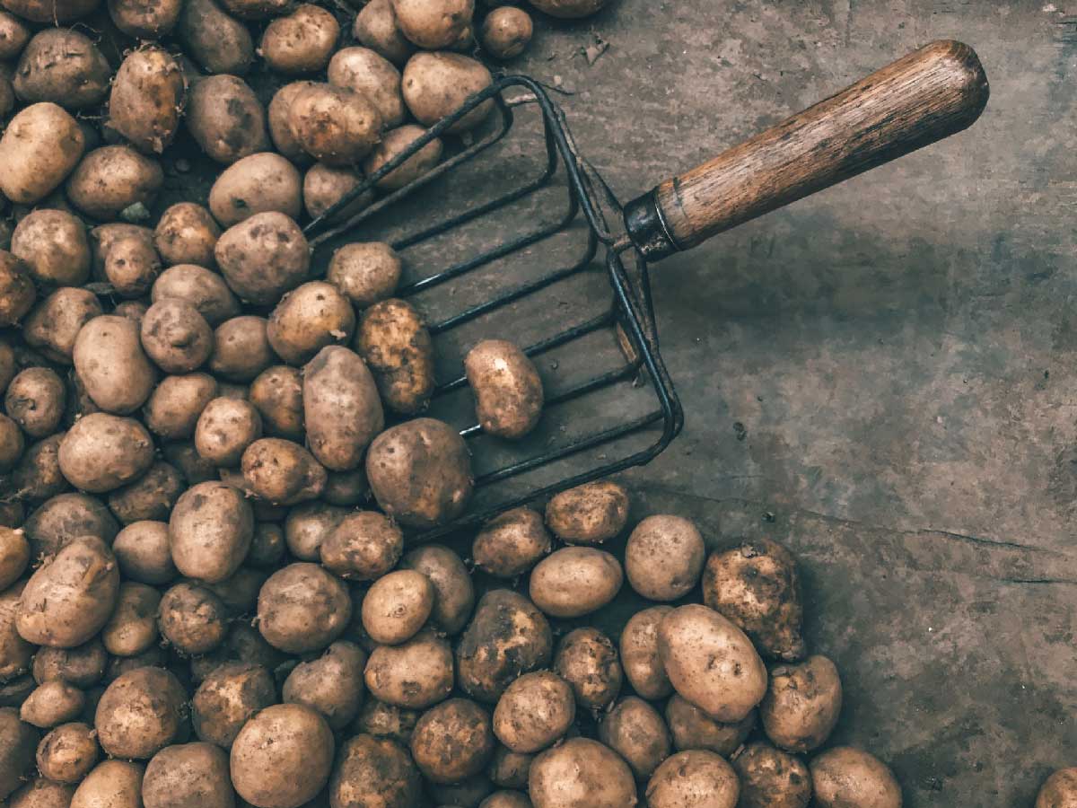 vodka and potatoes