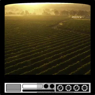 Discovering Deau, a quintessential Cognac