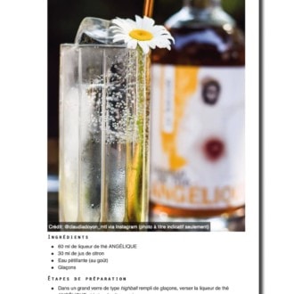 Angélique: un licor de yerba mate hecho en Québec