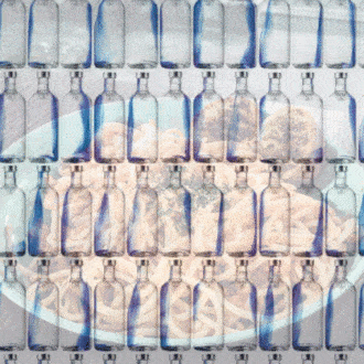 Forget the vodka pasta, it’s now the turn of gin pasta!