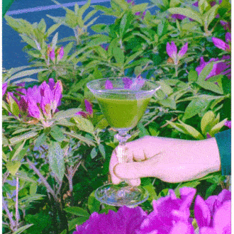 5 cocktails to taste when in Tokyo