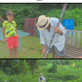 Rhum bio en Polynésie ? Go Johnny, Go !