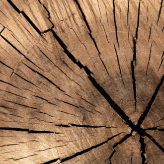 Un whisky breton vieilli avec du chêne de la forêt de Huelgoat