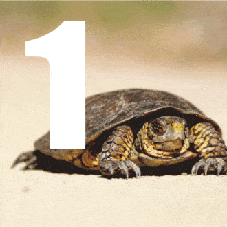 11 consejos para los que no están seguros de querer salir post-confinamiento