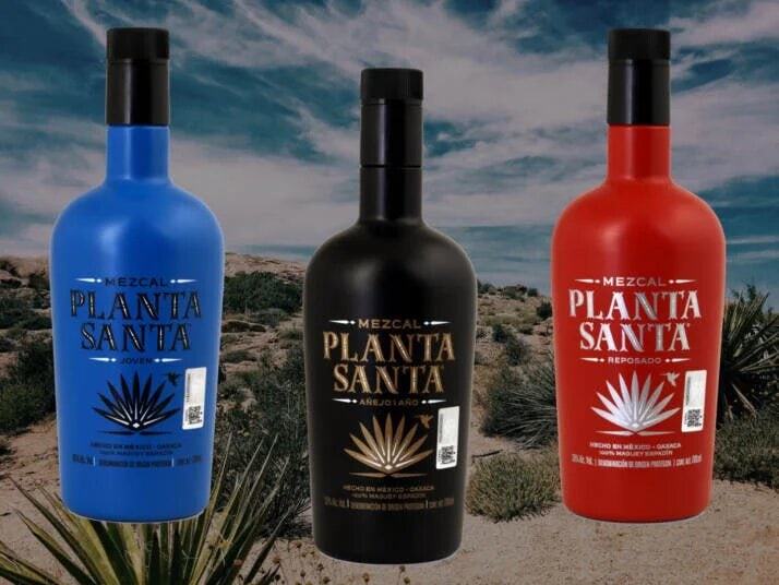 mezcal planta santa