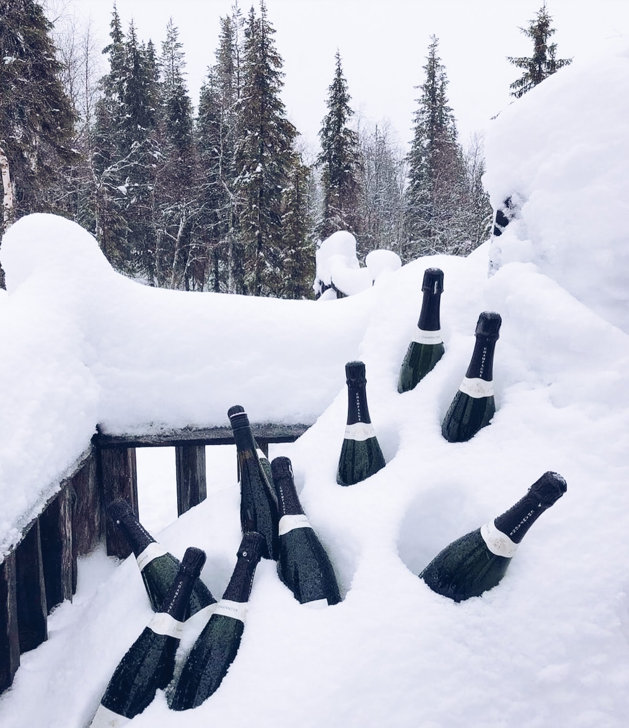 etiquetado de las botellas de champagne