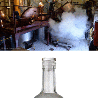 Interview: Découverte du Vodka Moutard, première Vodka 100% Champenoise éco-responsable