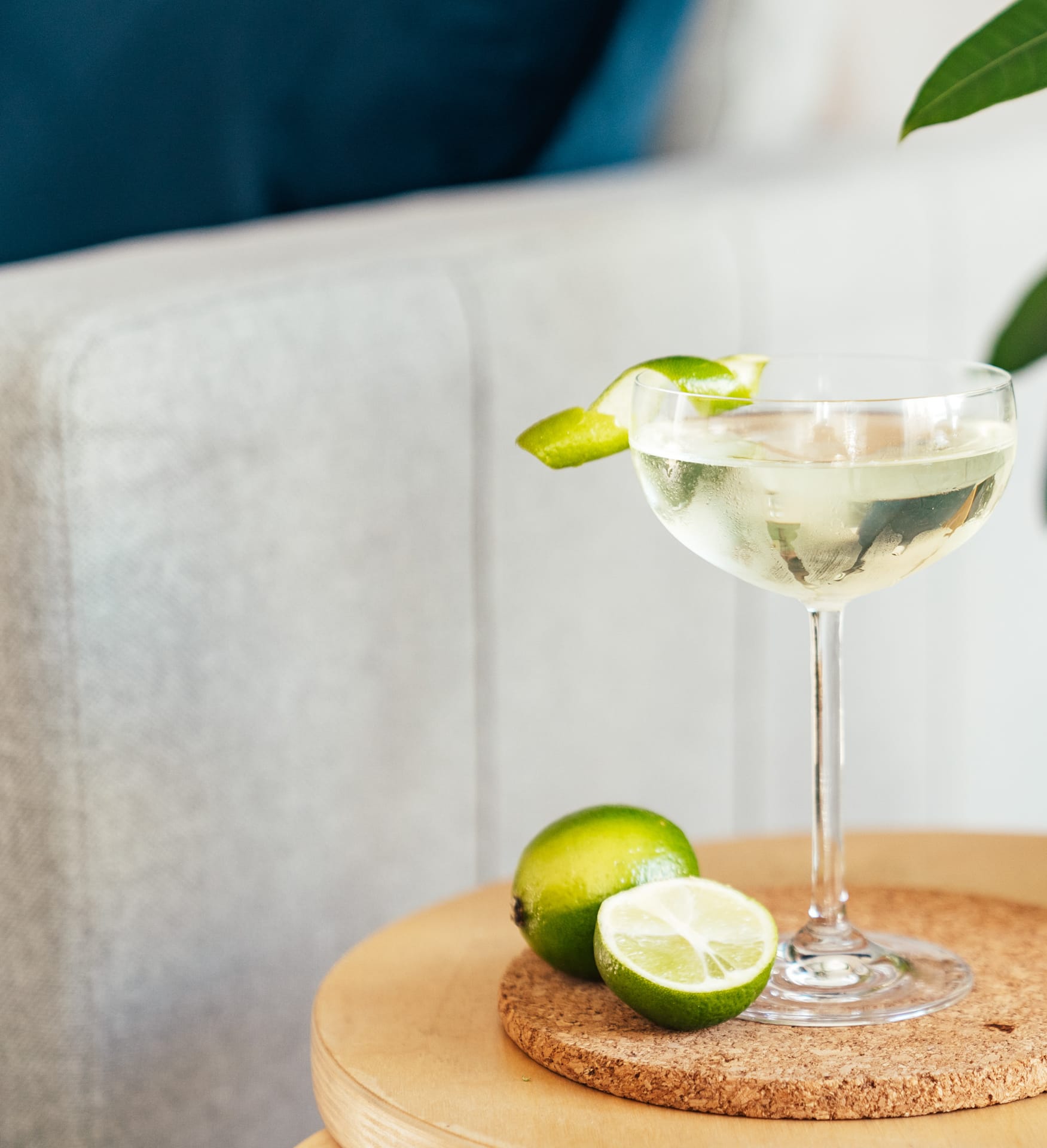 aloe vera atopia gimlet mocktail