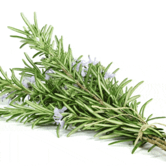 How to make a bullshot cocktail with chicken stock