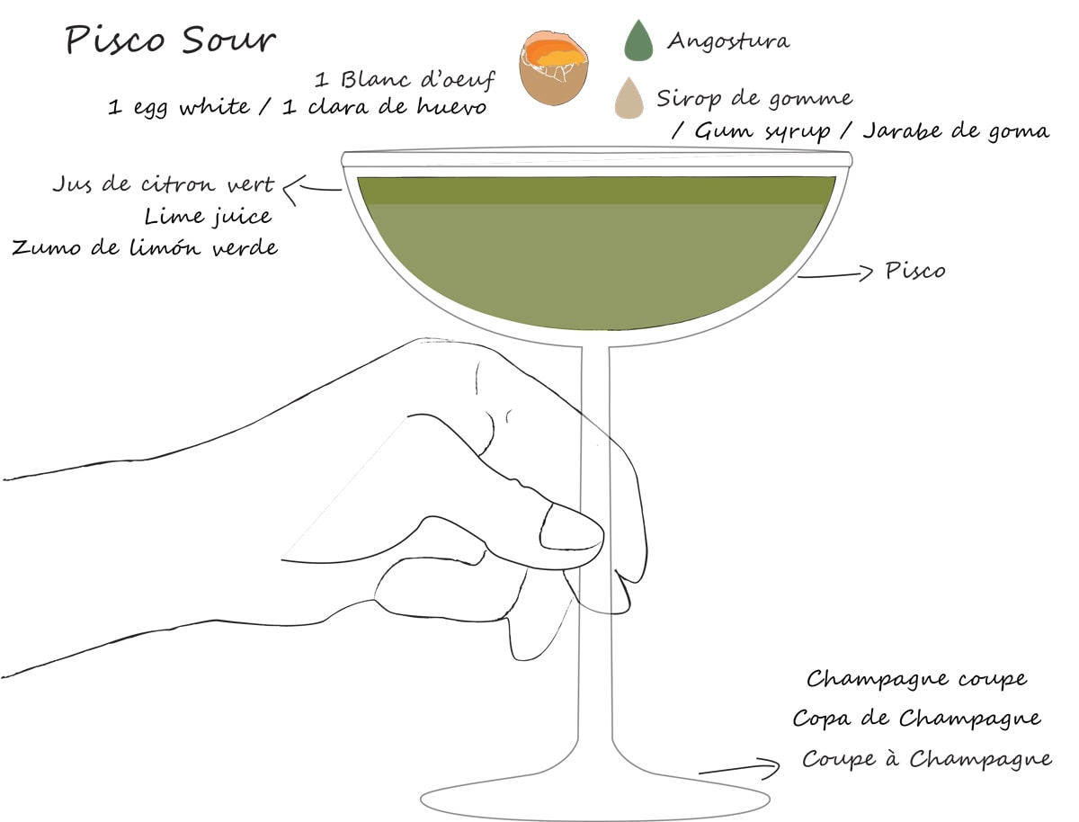 variaciones del pisco sour / día internacional del pisco sour