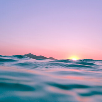 Se enviaron más de 34 millones de botellas de champagne a Estados Unidos en 2021