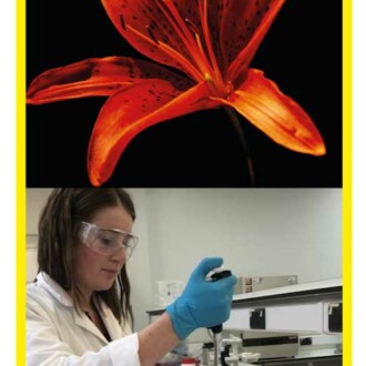 Study launched to evaluate gin flavor profiles