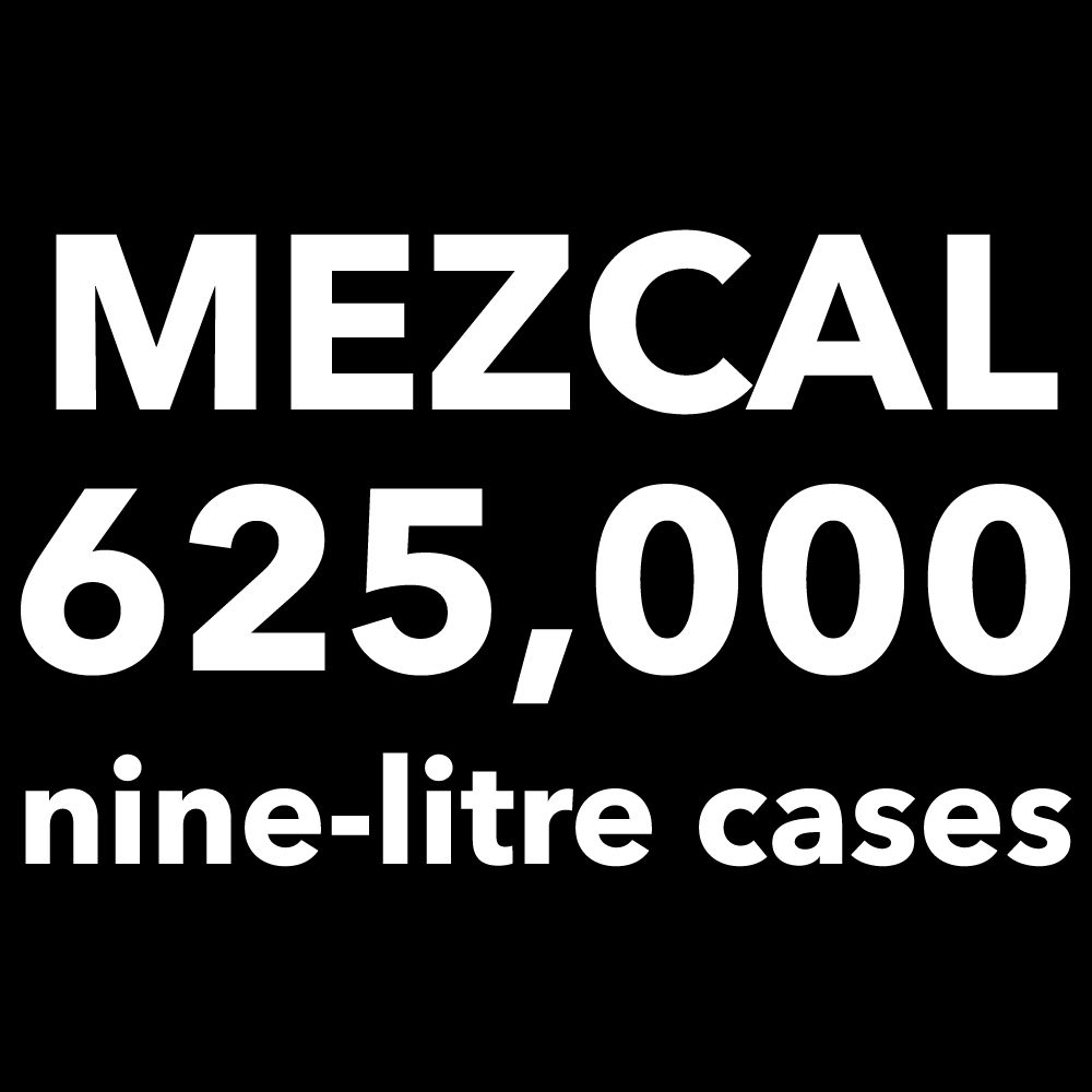 Le mezcal reprend sa trajectoire de croissance positive