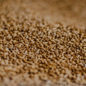 Exportadores de cebada australianos buscan nuevos mercados productores de cerveza