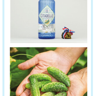 A pickle gin? Discover this gin made in France