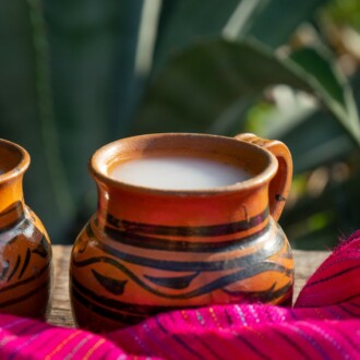 Pulque, 5 cosas que hay que saber sobre la «bebida de los dioses»