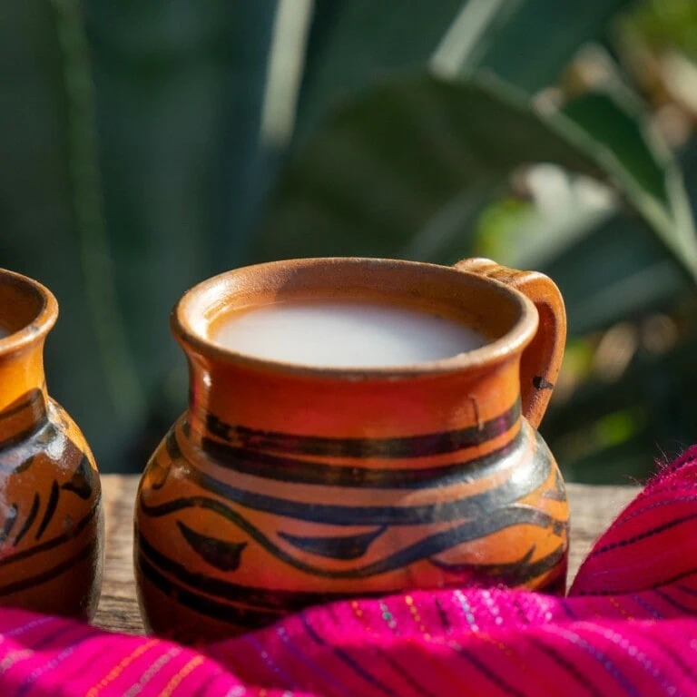 5 things to know about pulque, the drink of the Gods