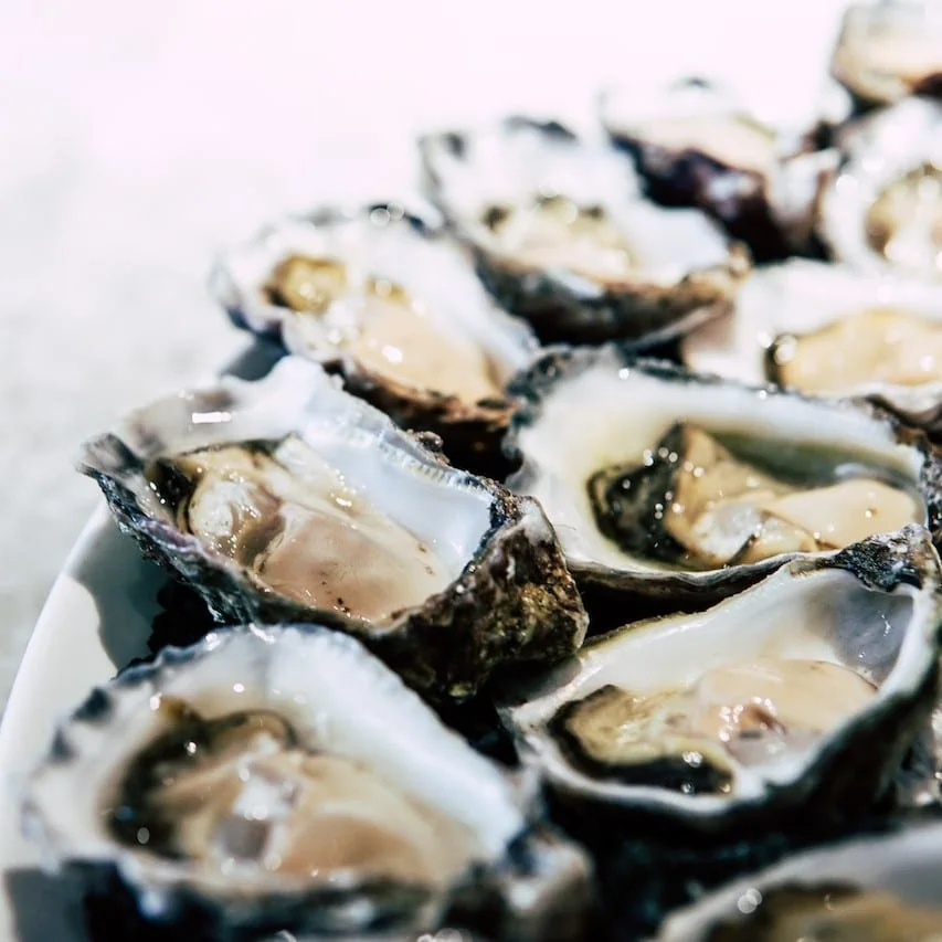 martini garnish oyster