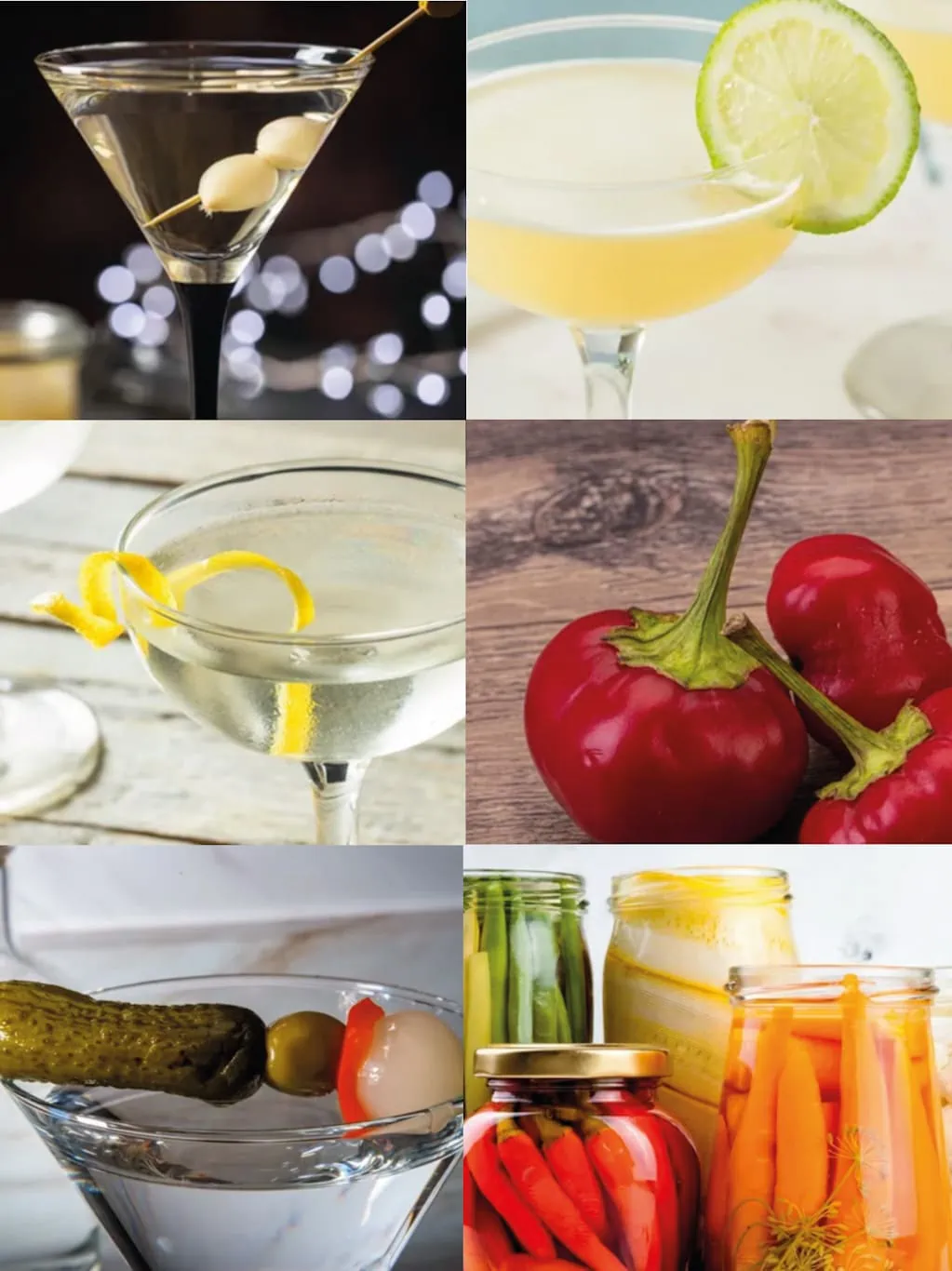 tipos de guarniciones - garnishes for your martini