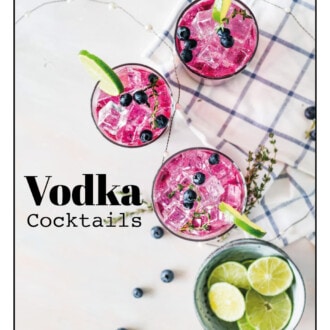 Martini rafraîchissant avec des vodkas fruitées